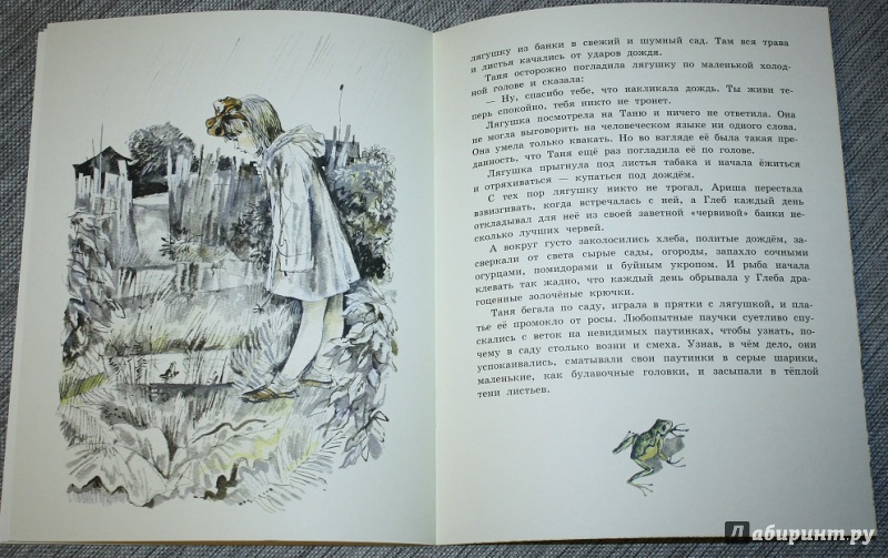 Иллюстрация 42 из 46 для Квакша - Константин Паустовский | Лабиринт - книги. Источник: КНИЖНОЕ ДЕТСТВО