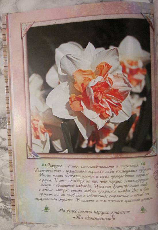 Иллюстрация 32 из 36 для Благодарю вас за цветы | Лабиринт - книги. Источник: Velena