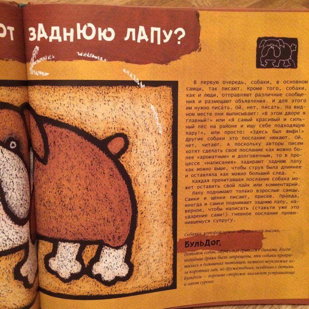 Иллюстрация 9 из 58 для Собачьи "почему" - Лила Прап | Лабиринт - книги. Источник: собака Павлова
