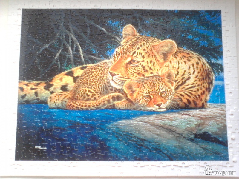 Иллюстрация 2 из 9 для Step Puzzle-300 "Леопарды" (98009) | Лабиринт - игрушки. Источник: Valeria V