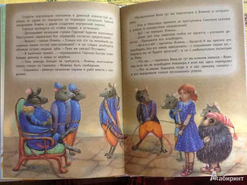 Иллюстрация 6 из 37 для Тайна гранатовых зерен - Ирина Антонова | Лабиринт - книги. Источник: Hrenovki