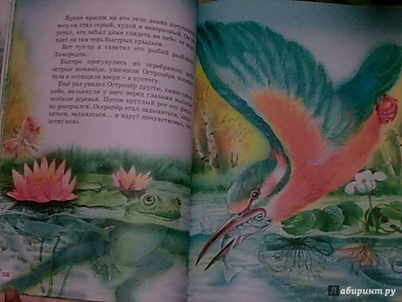 Иллюстрация 30 из 41 для Большая книга сказок - Виталий Бианки | Лабиринт - книги. Источник: н.в.а.