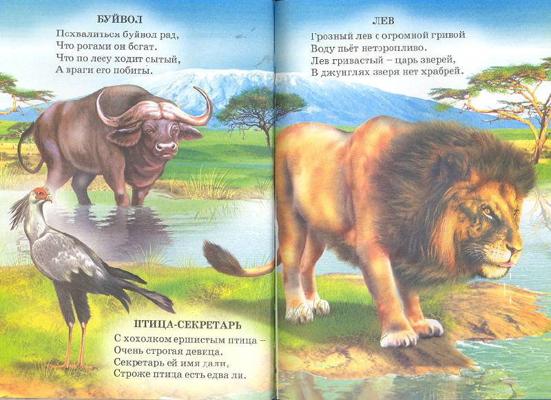 Иллюстрация 19 из 20 для Животный мир Земли - Владимир Степанов | Лабиринт - книги. Источник: мамаОля