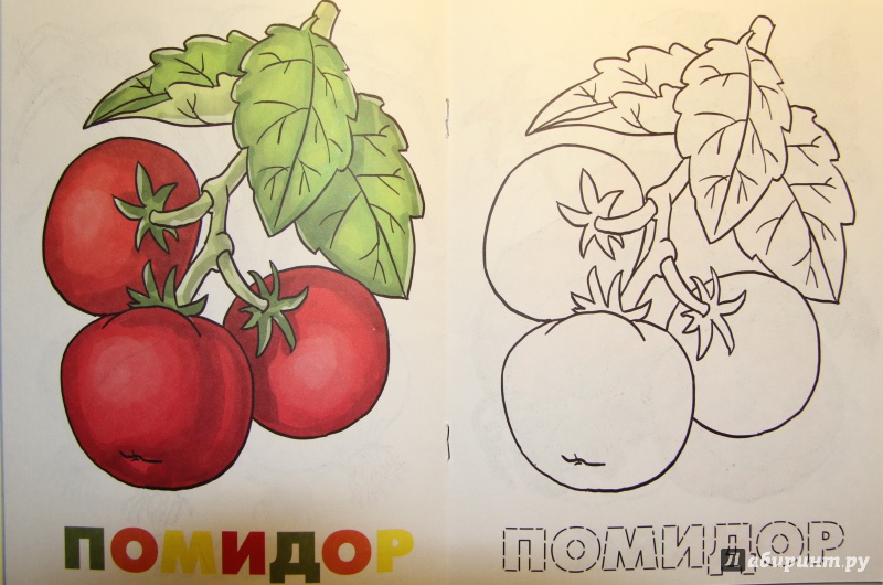 Иллюстрация 5 из 5 для Раскраска. Овощи | Лабиринт - книги. Источник: Тасиа