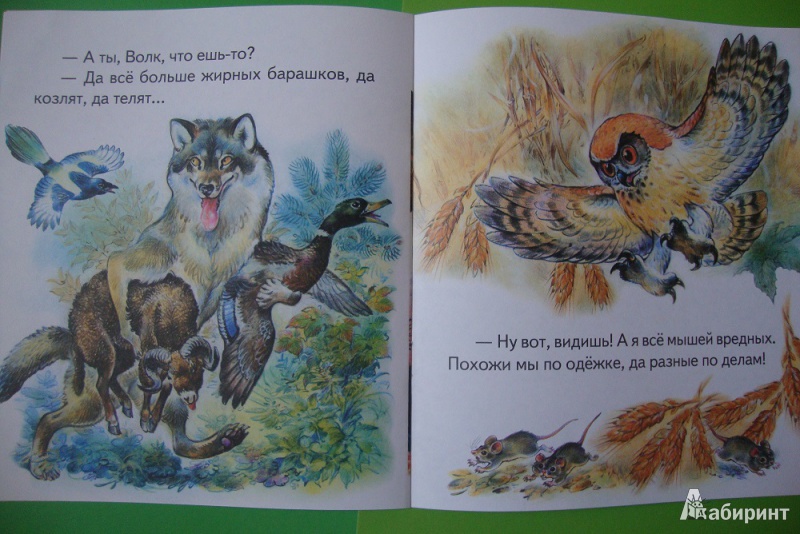 Иллюстрация 5 из 7 для Лесные сказки - Николай Сладков | Лабиринт - книги. Источник: Еремеева  Ольга