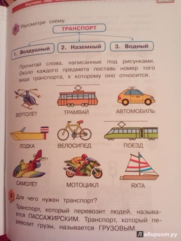 Иллюстрация 21 из 26 для Изучаем мир вокруг: для детей 5-6 лет - Егупова, Пятак | Лабиринт - книги. Источник: Elena Yudina