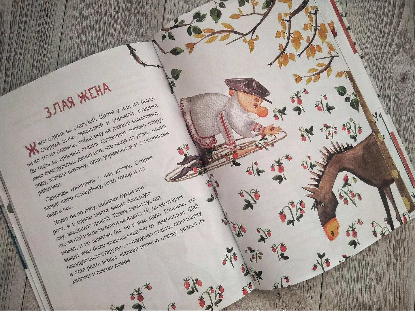Иллюстрация 22 из 29 для Чувашские народные сказки | Лабиринт - книги. Источник: Андрейченко Полина
