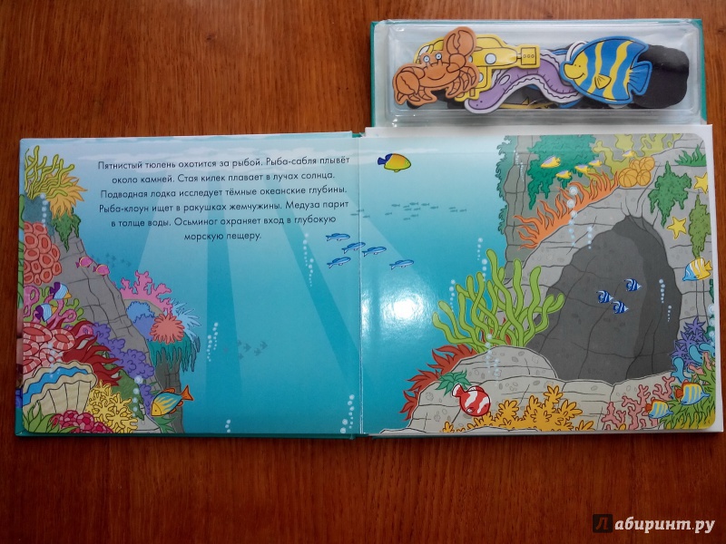 Иллюстрация 3 из 12 для На дне моря. Книга с магнитными страницами | Лабиринт - книги. Источник: vakuol
