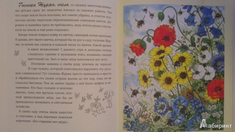 Иллюстрация 10 из 80 для Крапинка - Эрих Хайнеманн | Лабиринт - книги. Источник: Katty