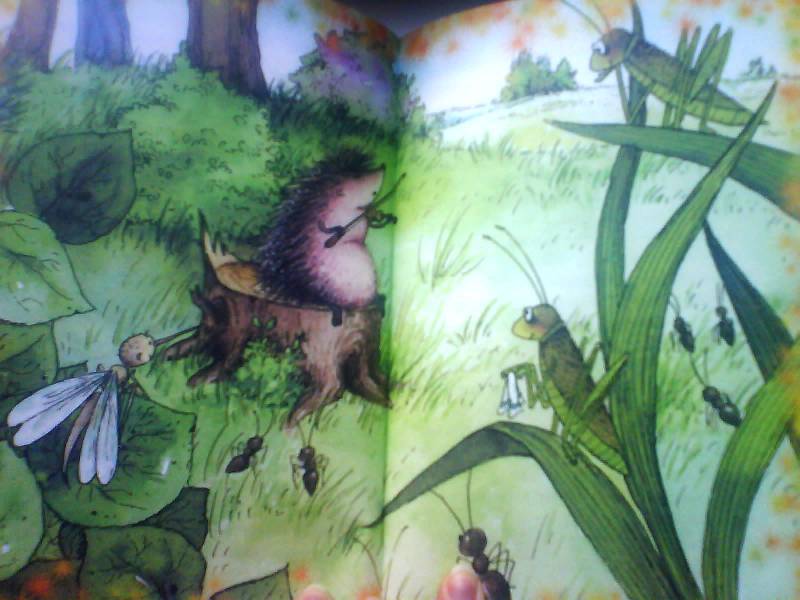 Иллюстрация 4 из 5 для Ежик в тумане - Сергей Козлов | Лабиринт - книги. Источник: В.  Светлана