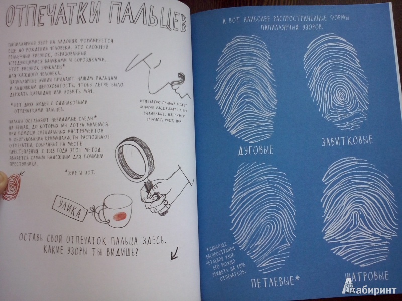 Иллюстрация 27 из 33 для Рисуем пальчиками - Марион Дешар | Лабиринт - книги. Источник: Олюсик