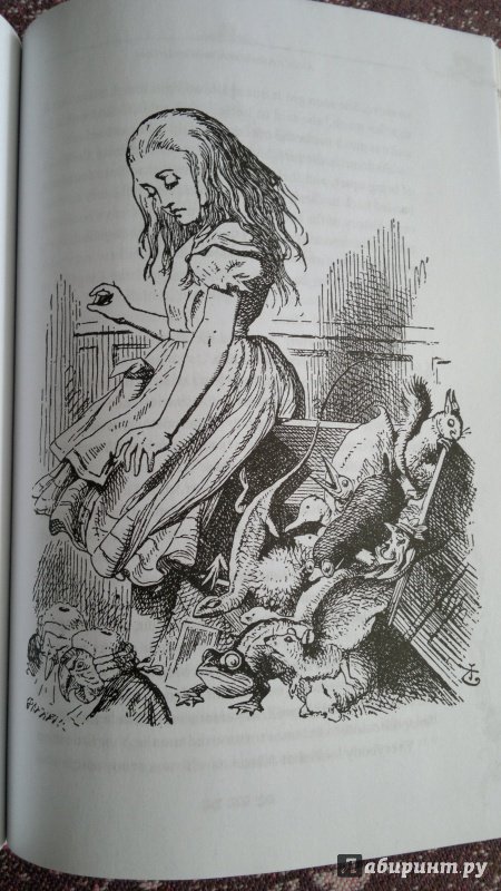 Иллюстрация 30 из 34 для Alice's Adventures in Wonderland. Through the Looking Glass - Lewis Carroll | Лабиринт - книги. Источник: Еленушка-С