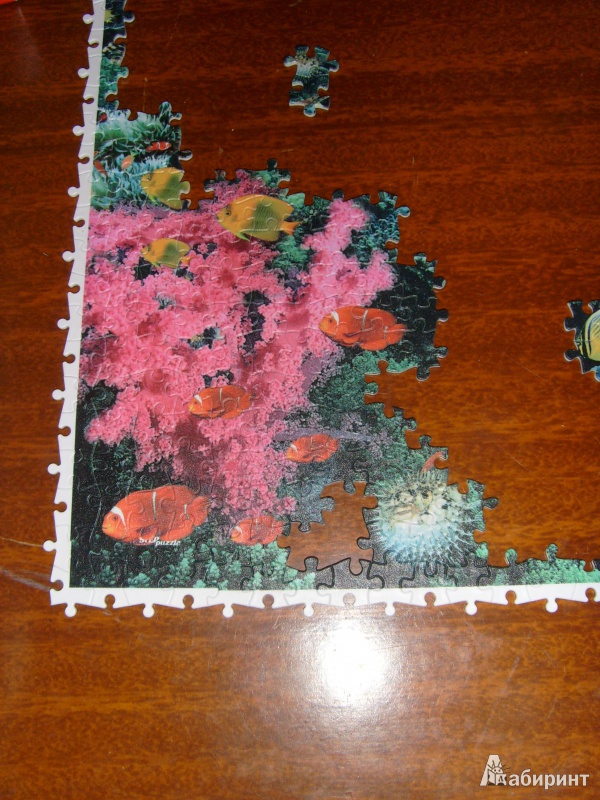 Иллюстрация 2 из 10 для Step Puzzle-1000 "Подводный мир" (98015) | Лабиринт - игрушки. Источник: Семёновская матрешка