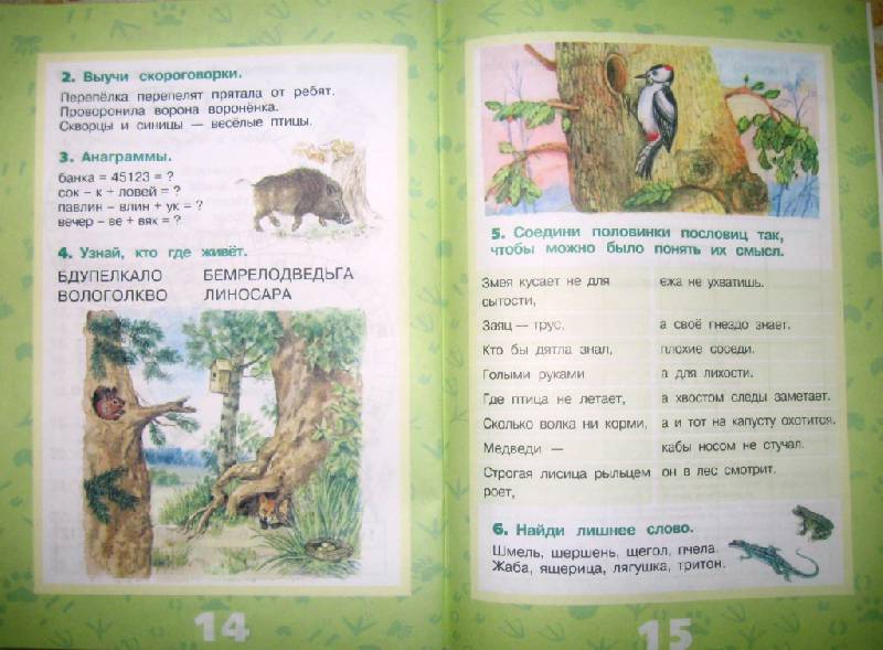 Иллюстрация 28 из 28 для Животные леса - Ольга Тишурина | Лабиринт - книги. Источник: Ирина Викторовна