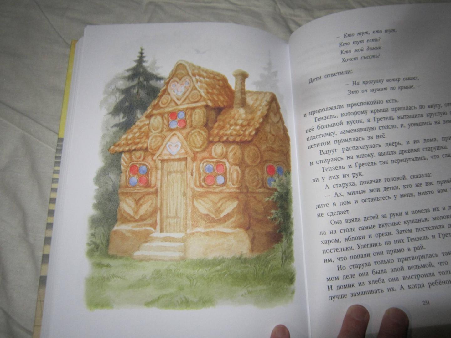 Иллюстрация 15 из 37 для Сказки - Гримм Якоб и Вильгельм | Лабиринт - книги. Источник: Доронина  Елена Юрьевна
