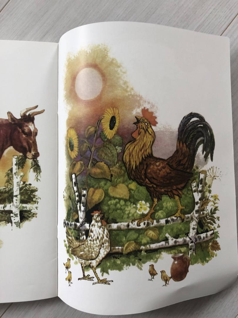 Иллюстрация 29 из 29 для Петушок и бобовое зёрнышко | Лабиринт - книги. Источник: Ки  Анастасия