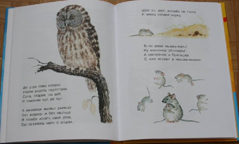 Иллюстрация 20 из 31 для Маленьким ребятам о маленьких зверятах | Лабиринт - книги. Источник: Котёнок по имени Гав