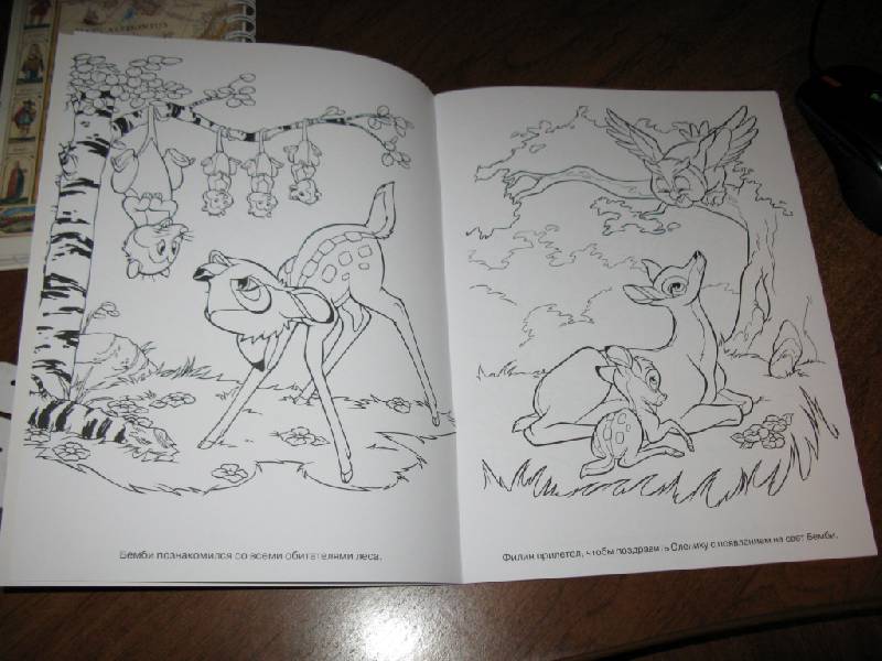 Иллюстрация 10 из 11 для Волшебная раскраска "Бемби" (№ 1192) | Лабиринт - книги. Источник: kootova