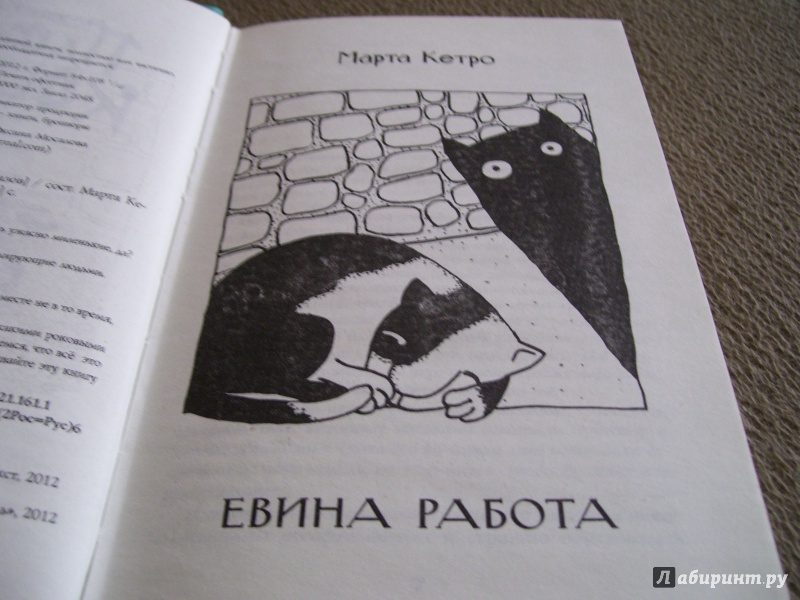 Иллюстрация 15 из 24 для Плохие кошки - Кетро, Лебедева, Барашек | Лабиринт - книги. Источник: КошкаПолосатая