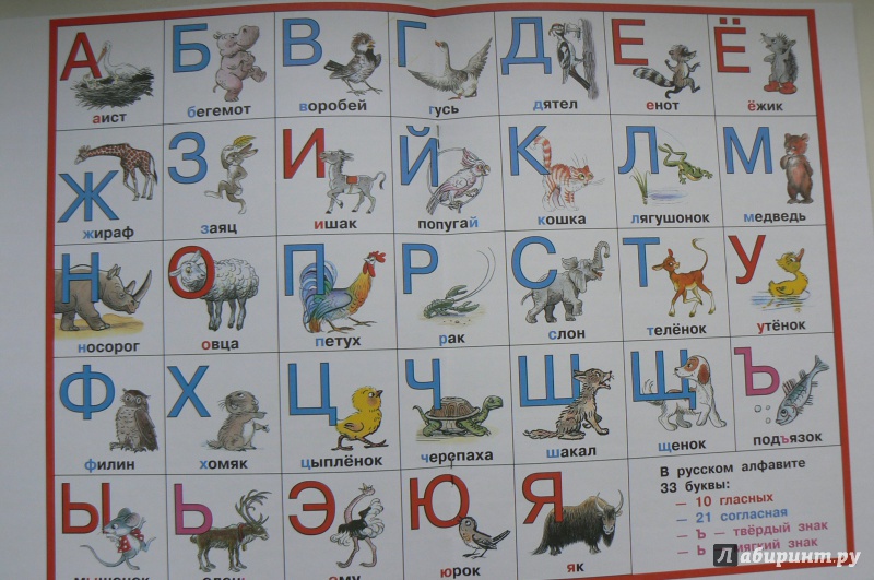 Назови животное на б. Азбука животных. Азбука животных для детей. Алфавит с животными. Алфавит с животными для детей.