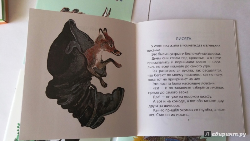 Иллюстрация 18 из 21 для Комплект "Книжки о зверятах" (4 книги) - Евгений Чарушин | Лабиринт - книги. Источник: Бог в помощь