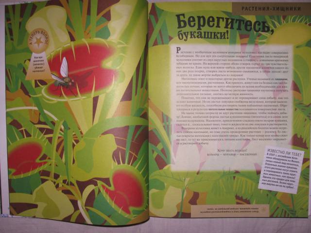 Иллюстрация 20 из 32 для Энциклопедия для детей. Растения. Животные | Лабиринт - книги. Источник: ESchA