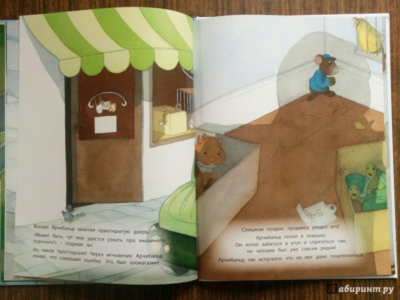 Иллюстрация 30 из 43 для Подарок для Луизы - Квентин Гребан | Лабиринт - книги. Источник: Natalie Leigh