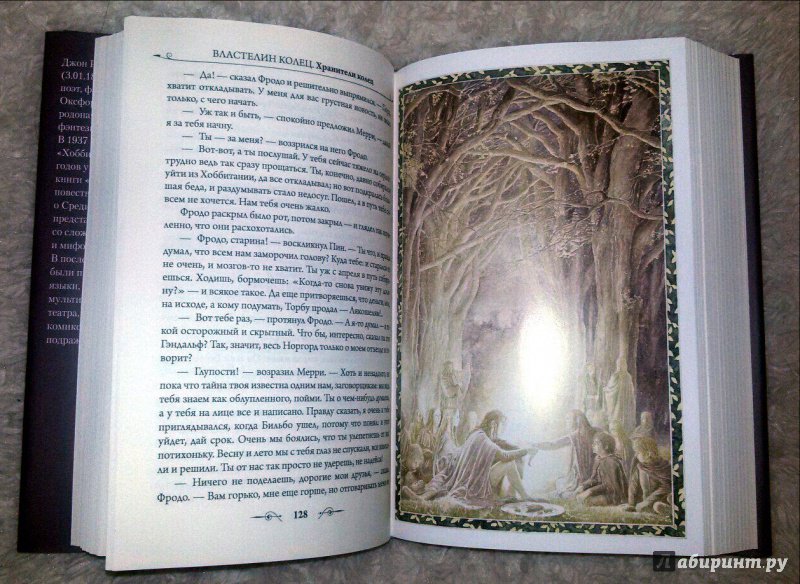 Иллюстрация 11 из 72 для Властелин Колец. Хранители Кольца - Толкин Джон Рональд Руэл | Лабиринт - книги. Источник: Маркона