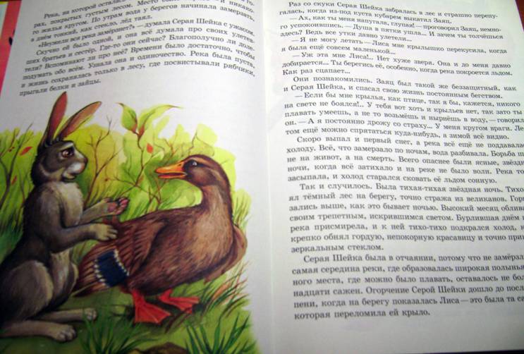 Иллюстрация 52 из 55 для Сказки о животных для малышей - Мамин-Сибиряк, Толстой, Ушинский | Лабиринт - книги. Источник: Batterfly