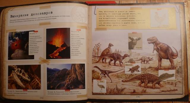 Иллюстрация 19 из 19 для Тираннозавр Rex | Лабиринт - книги. Источник: personok