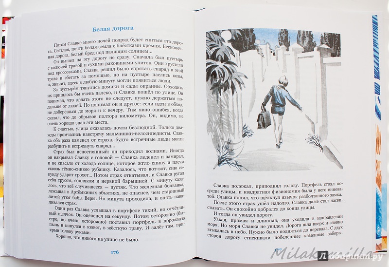 Иллюстрация 48 из 83 для Трое с площади Карронад - Владислав Крапивин | Лабиринт - книги. Источник: Букландия