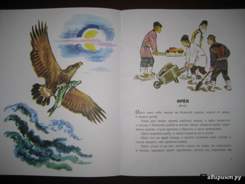 Иллюстрация 18 из 48 для О животных и птицах - Лев Толстой | Лабиринт - книги. Источник: Никoль
