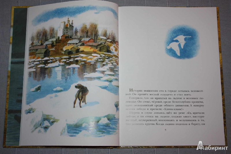 Иллюстрация 3 из 46 для Арктур - гончий пёс - Юрий Казаков | Лабиринт - книги. Источник: Михайлова Алексия