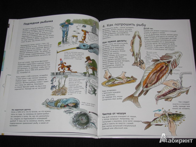 Иллюстрация 56 из 60 для Книга для начинающих великих рыболовов - Нурдквист, Вернер-Карлссон | Лабиринт - книги. Источник: Nemertona