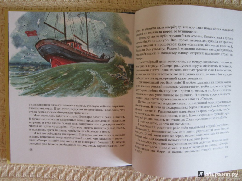 Иллюстрация 9 из 26 для Морские сапоги - Андрей Некрасов | Лабиринт - книги. Источник: ЮлияО