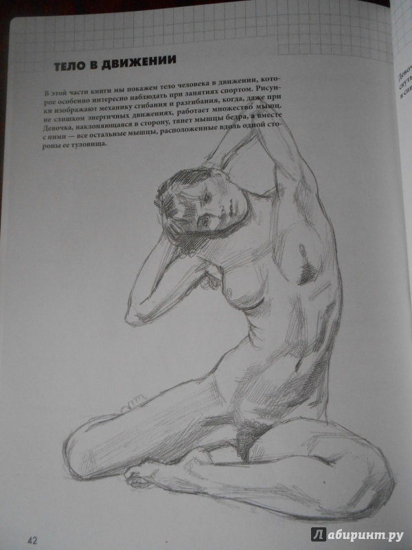 Иллюстрация 9 из 31 для Анатомия для художников - Баррингтон Барбер | Лабиринт - книги. Источник: Леан