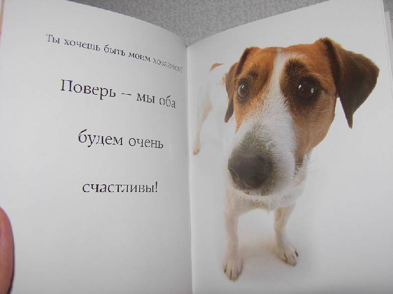 Иллюстрация 28 из 28 для Самые очаровательные собаки | Лабиринт - книги. Источник: Iwolga