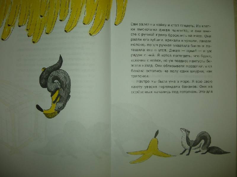 Третьяков эра мангуста том 1 читать. Житков мангуста иллюстрации. Житков мангуста обложка книги.