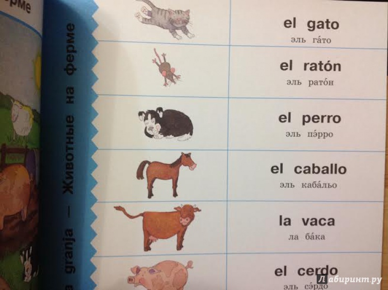 Иллюстрация 5 из 39 для Испанский язык. Спрячь и скажи - Бруццоне, Мартино | Лабиринт - книги. Источник: Sage Tea
