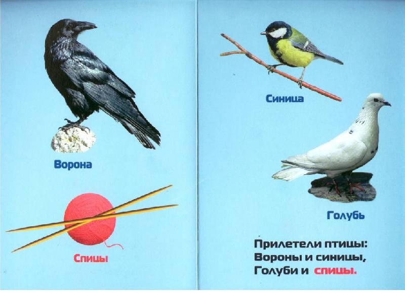 Иллюстрация 1 из 3 для Прилетели птицы - Инна Барская | Лабиринт - книги. Источник: Zhanna