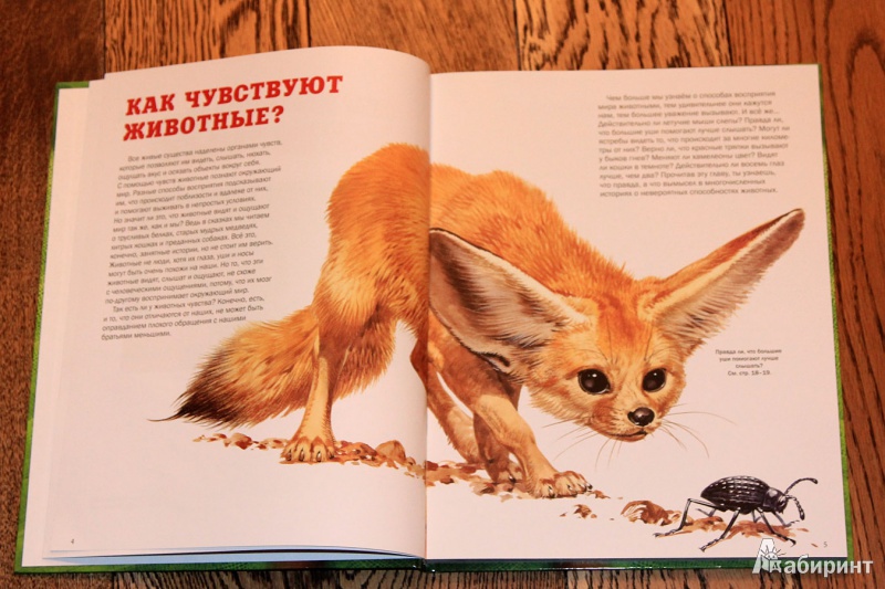 Иллюстрация 16 из 54 для Мир удивительных животных - Стоунхауз, Бертрам | Лабиринт - книги. Источник: St  Алла