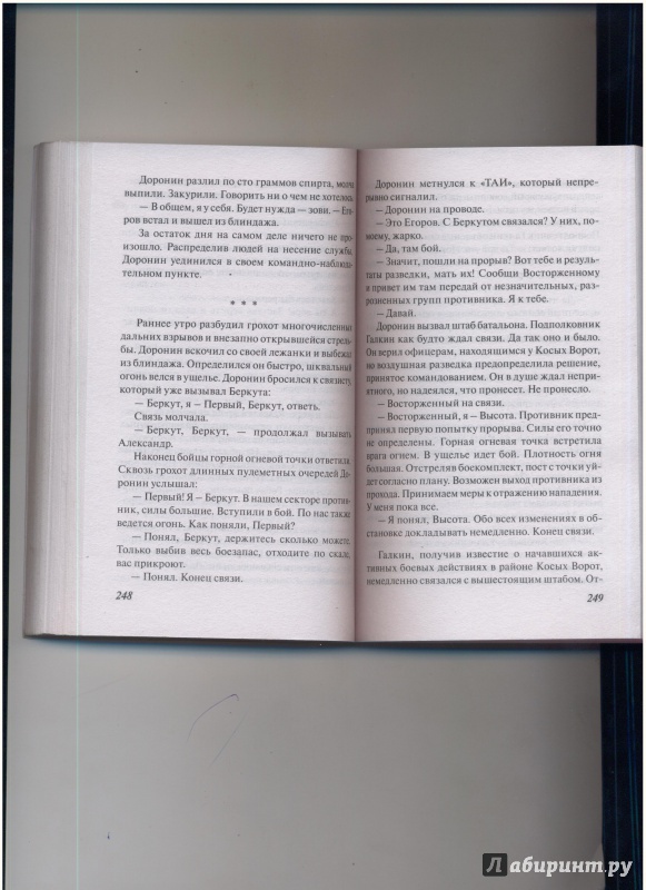 Иллюстрация 4 из 5 для Грозовые ворота - Александр Тамоников | Лабиринт - книги. Источник: Evgeniya