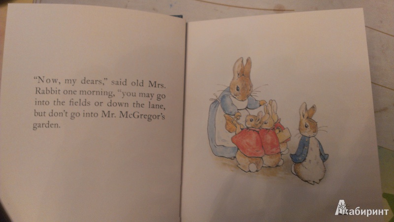 Иллюстрация 7 из 11 для The Tale of Peter Rabbit - Beatrix Potter | Лабиринт - книги. Источник: Морозова  Ольга Анатольевна