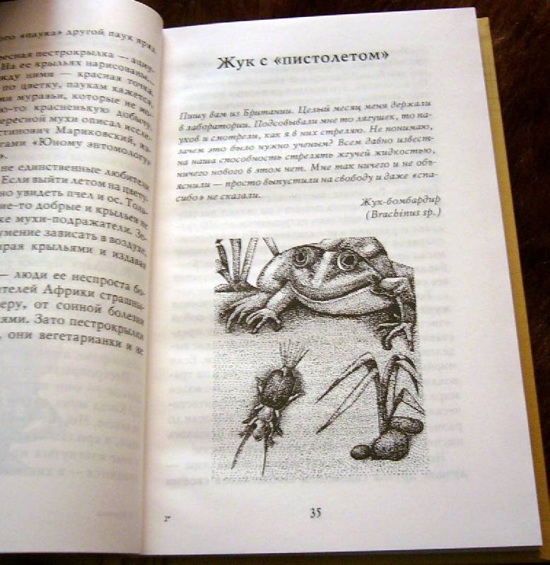 Иллюстрация 32 из 32 для Письма насекомых - Ольга Кувыкина | Лабиринт - книги. Источник: Nika