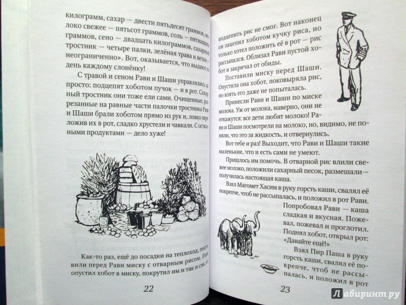 Иллюстрация 6 из 19 для Снежок - Сергей Баруздин | Лабиринт - книги. Источник: Зеленая шляпа