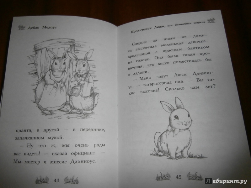 Иллюстрация 29 из 55 для Крольчонок Люси, или Волшебная встреча - Дейзи Медоус | Лабиринт - книги. Источник: Tiger.