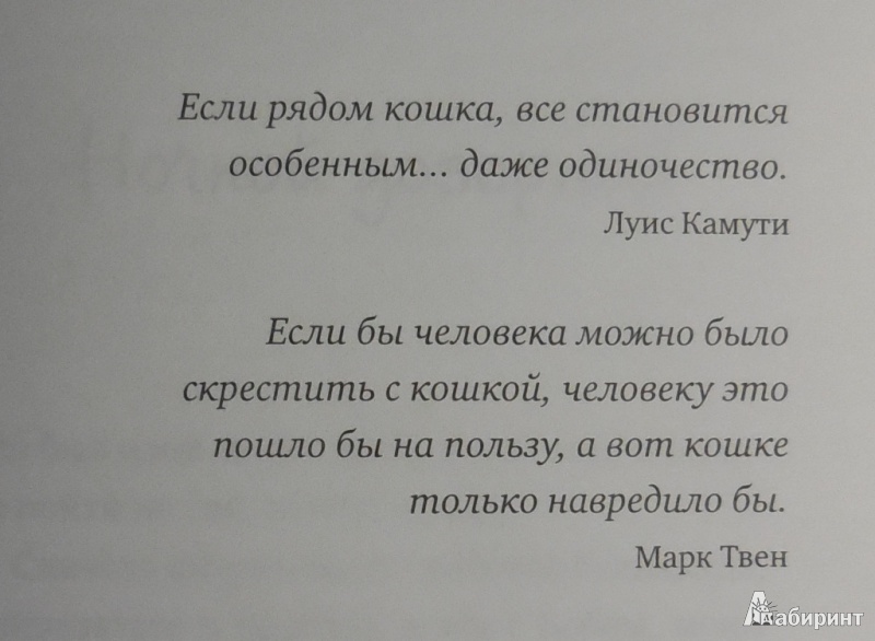 Иллюстрация 16 из 65 для Мир глазами кота Боба. Новые приключения человека и его рыжего друга - Джеймс Боуэн | Лабиринт - книги. Источник: Большой любитель книг