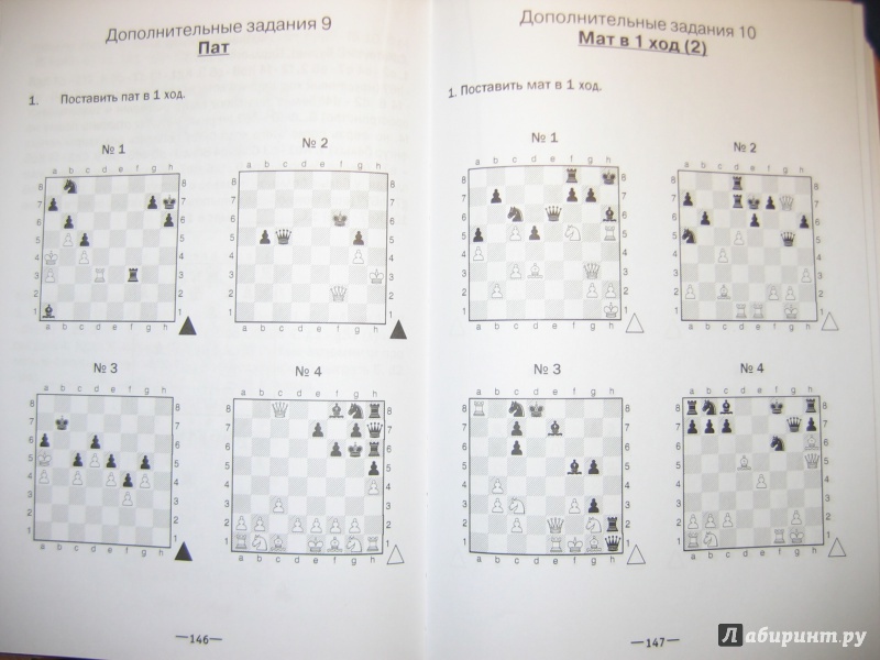 Иллюстрация 15 из 20 для Хочу учиться шахматам! - Анна Дорофеева | Лабиринт - книги. Источник: RoMamka