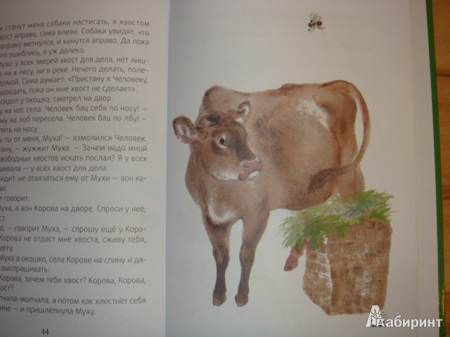 Иллюстрация 2 из 22 для Хвосты - Виталий Бианки | Лабиринт - книги. Источник: Цветина