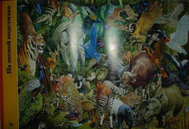 Иллюстрация 15 из 18 для Планета животных - Стив Паркер | Лабиринт - книги. Источник: Настёна